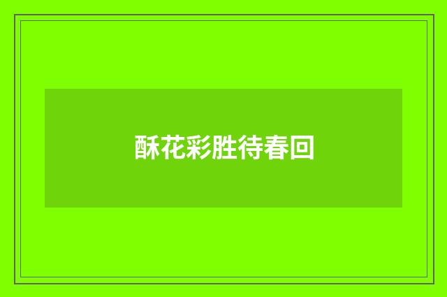酥花彩胜待春回