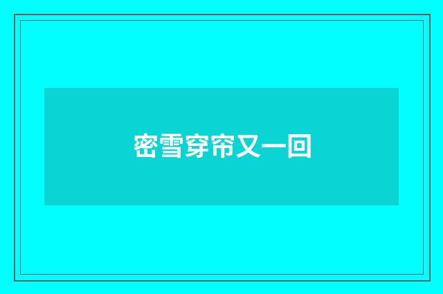 密雪穿帘又一回