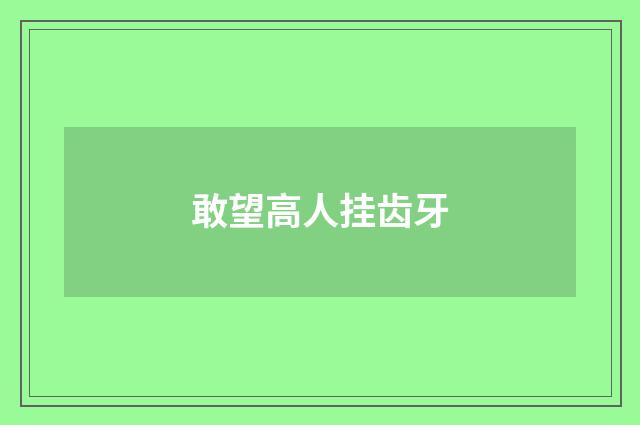 敢望高人挂齿牙