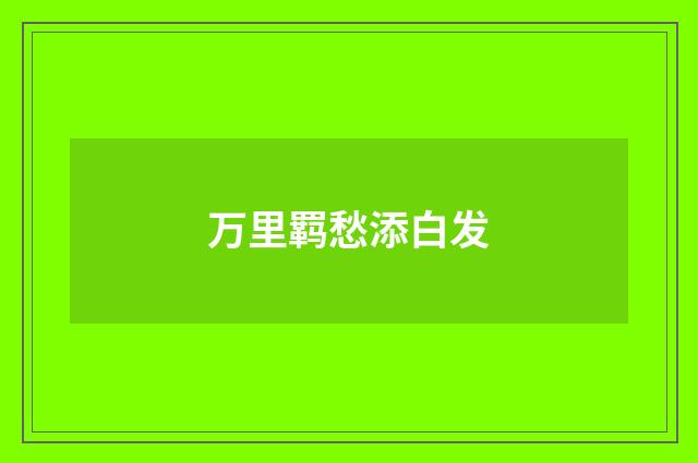 万里羁愁添白发