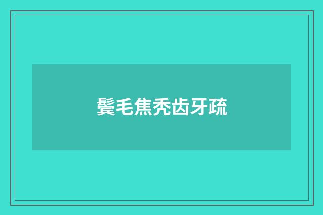 鬓毛焦秃齿牙疏