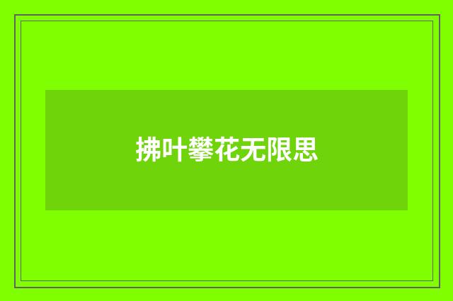 拂叶攀花无限思