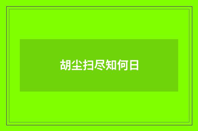 胡尘扫尽知何日