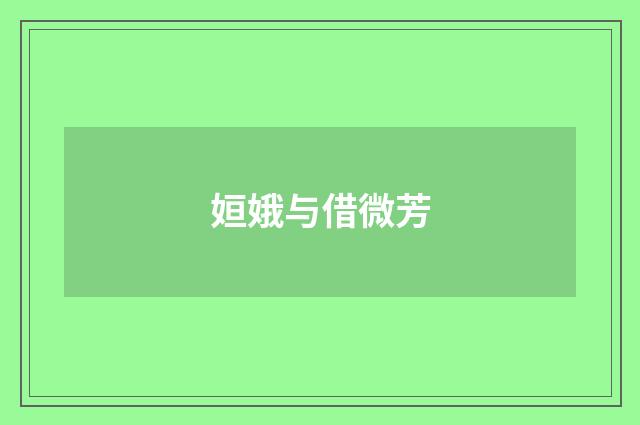 姮娥与借微芳