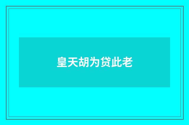 皇天胡为贷此老