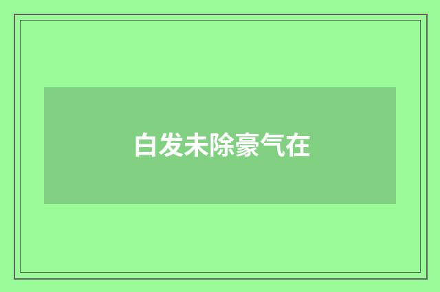 白发未除豪气在