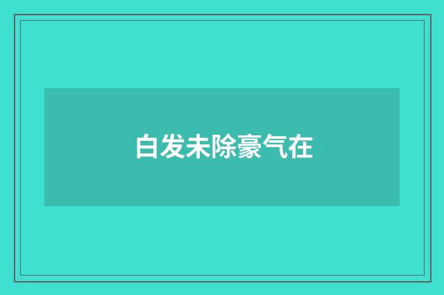 白发未除豪气在