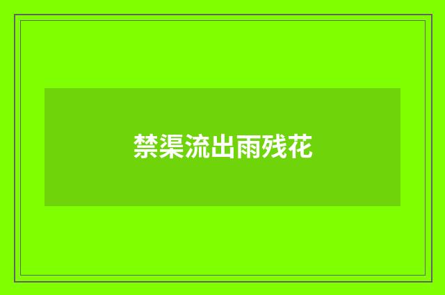 禁渠流出雨残花