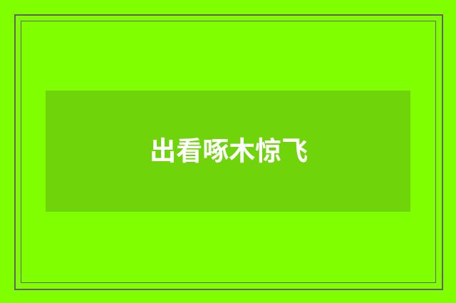 出看啄木惊飞