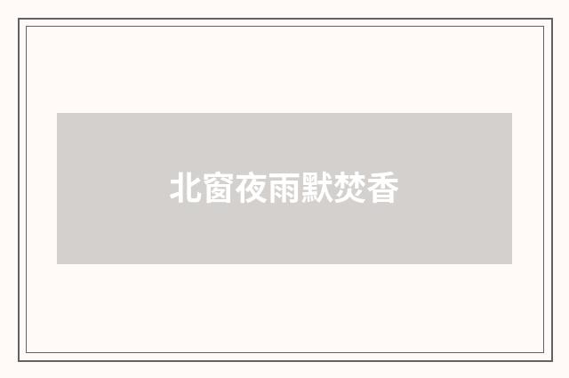 北窗夜雨默焚香