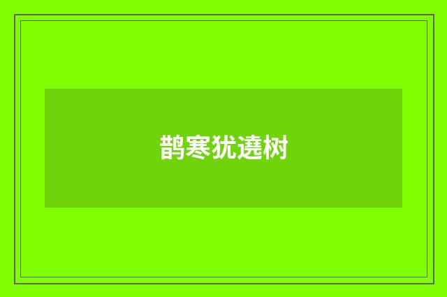 鹊寒犹遶树