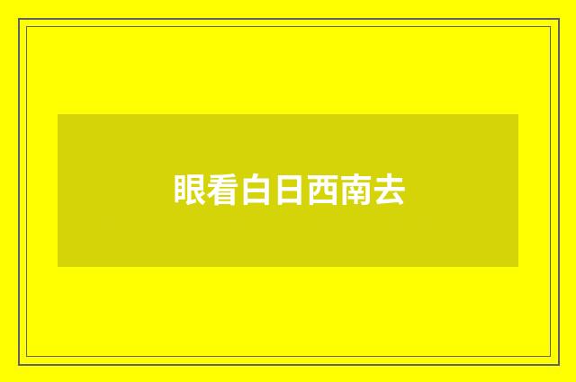 眼看白日西南去