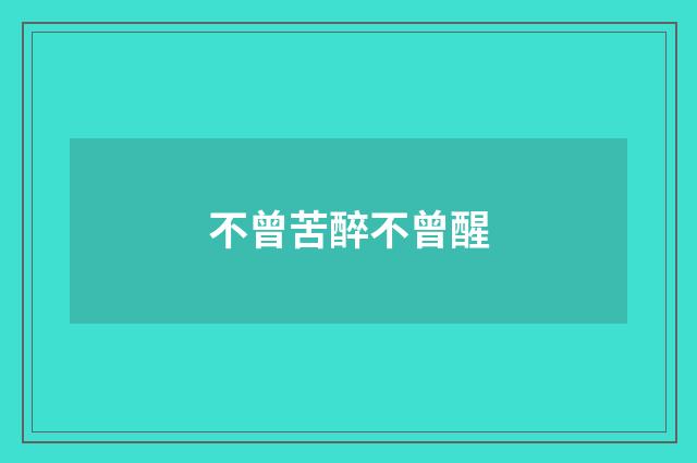 不曾苦醉不曾醒