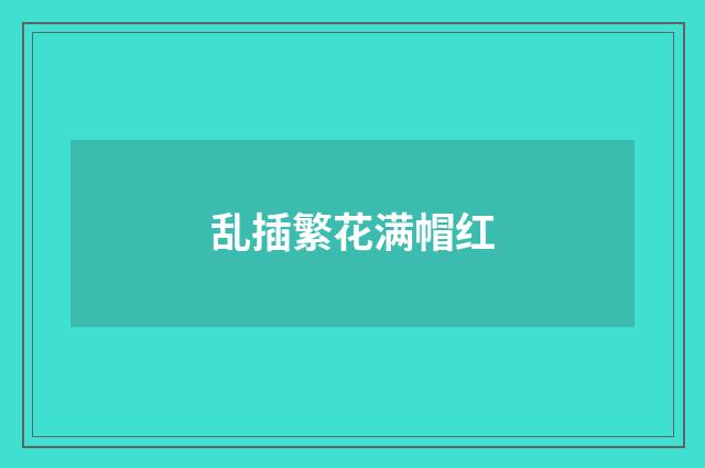 乱插繁花满帽红