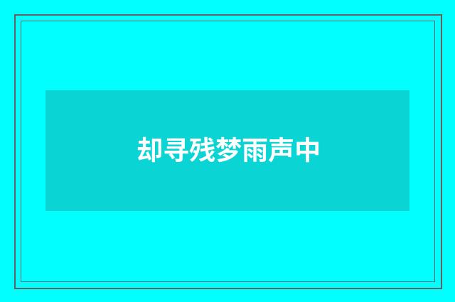 却寻残梦雨声中