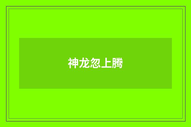 神龙忽上腾