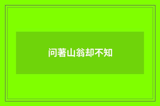 问著山翁却不知
