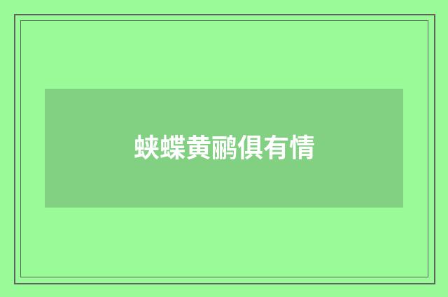 蛱蝶黄鹂俱有情
