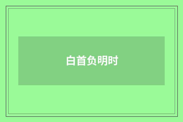 白首负明时