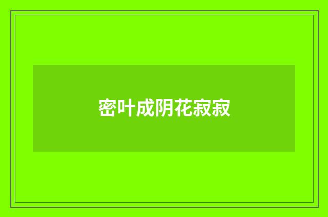 密叶成阴花寂寂