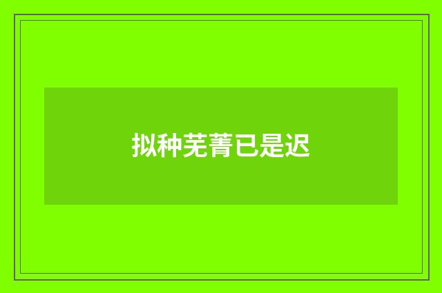 拟种芜菁已是迟