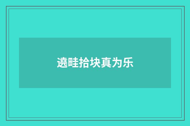 遶畦拾块真为乐
