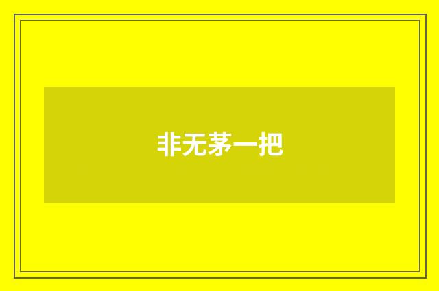 非无茅一把