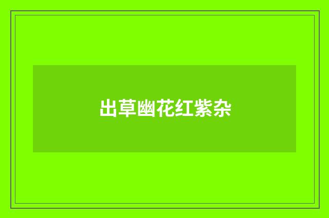 出草幽花红紫杂