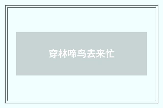 穿林啼鸟去来忙