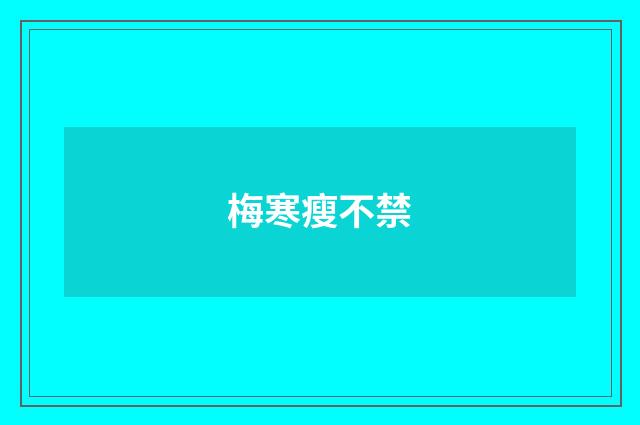 梅寒瘦不禁