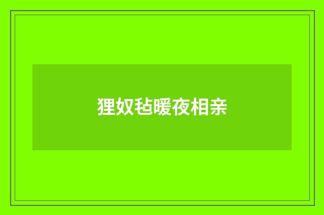 狸奴毡暖夜相亲
