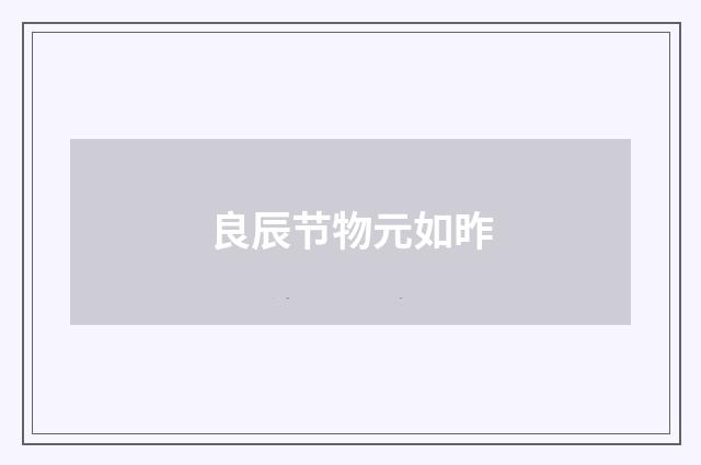 良辰节物元如昨