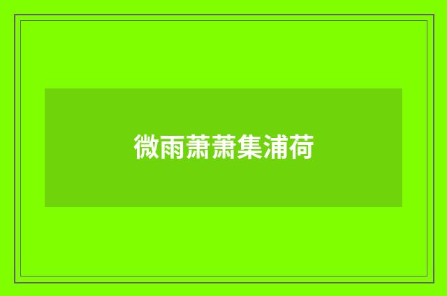 微雨萧萧集浦荷