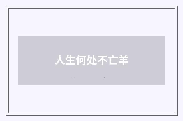 人生何处不亡羊