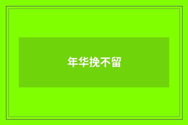 年华挽不留