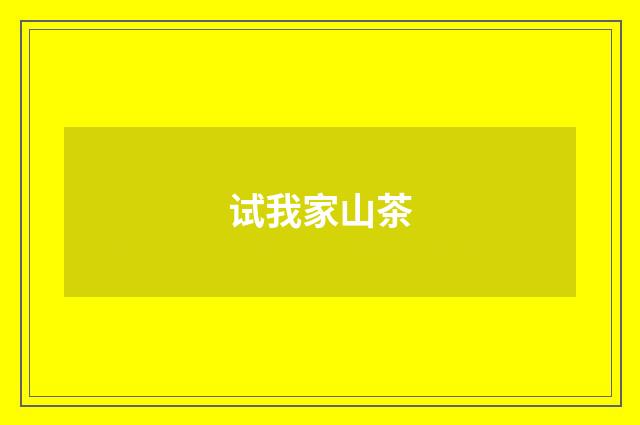 试我家山茶