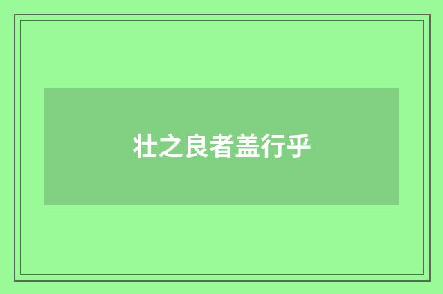 壮之良者盖行乎
