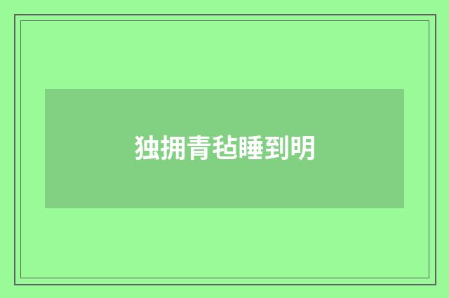 独拥青毡睡到明