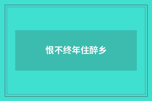 恨不终年住醉乡