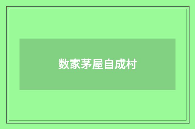 数家茅屋自成村