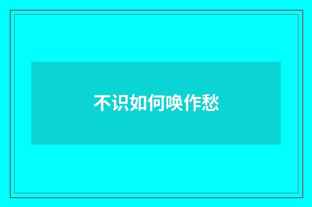 不识如何唤作愁