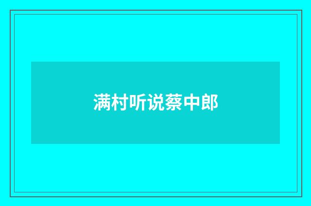 满村听说蔡中郎