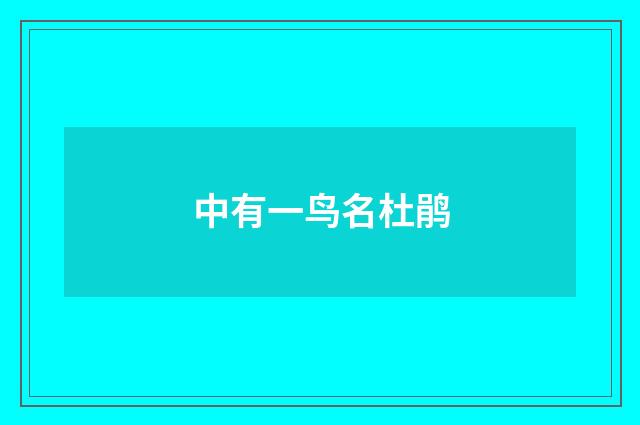 中有一鸟名杜鹃