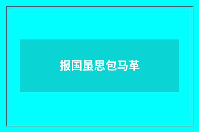 报国虽思包马革