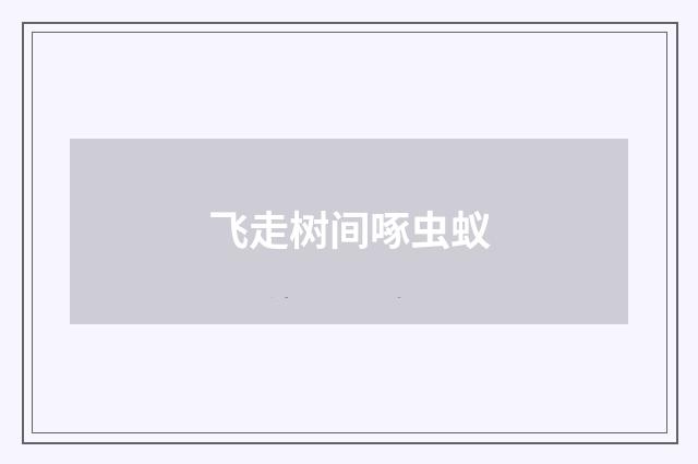 飞走树间啄虫蚁
