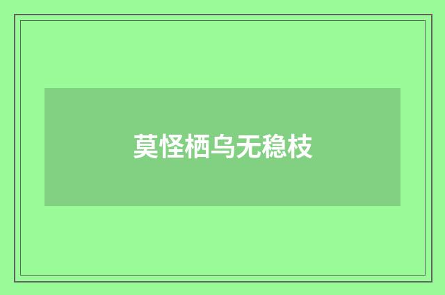 莫怪栖乌无稳枝