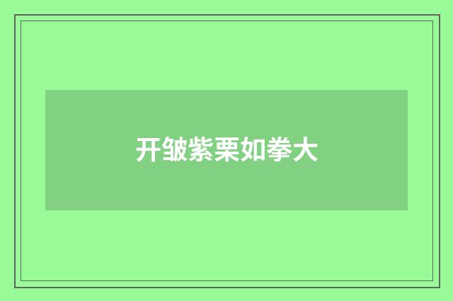 开皱紫栗如拳大