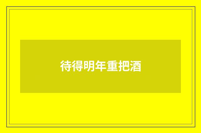 待得明年重把酒