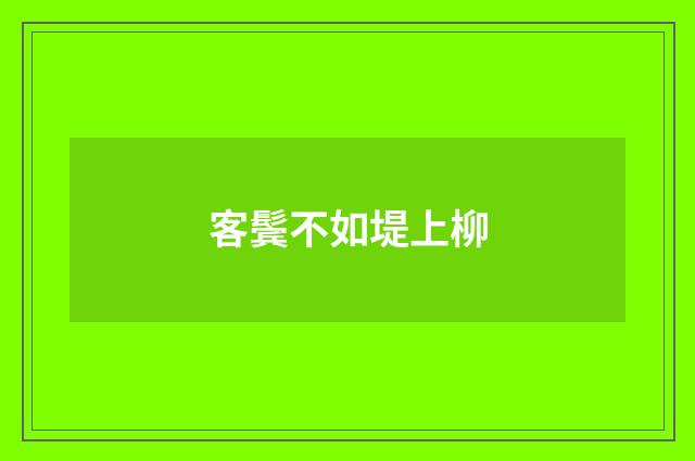 客鬓不如堤上柳