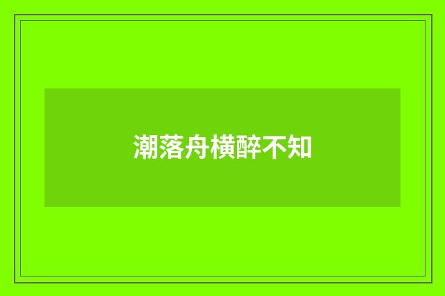 潮落舟横醉不知